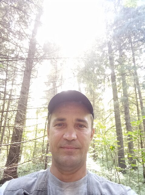 В лесу Сергиев Посад