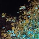 Знакомства: Alex, 34 года, Винница