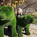 Знакомства: Lana, 51 год, Новокузнецк