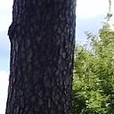 Знакомства: Виктор, 50 лет, Полтава