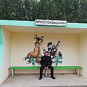 Знакомства: Сергей, 50 лет, Щёлково