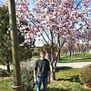 Знакомства: Саша, 38 лет, Ташкент