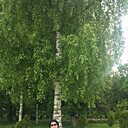 Знакомства: Алена, 55 лет, Шаховская