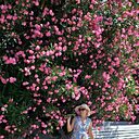 Знакомства: Светлана, 60 лет, Сочи