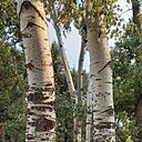 Знакомства: Марина, 51 год, Днепр