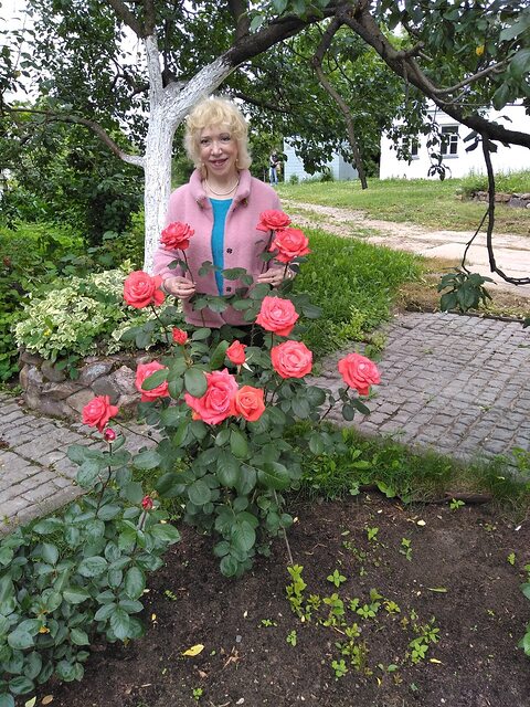 Фото - Tabor.ru