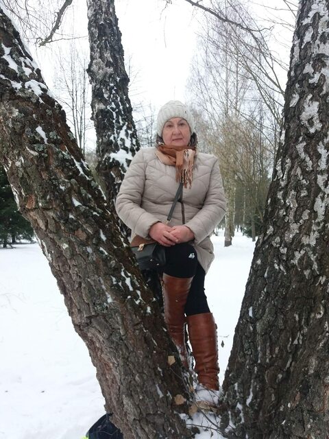 Фото - Tabor.ru