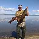 Знакомства: Дмитрий, 65 лет, Березовский (Кемеровская Обл)