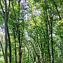 Знакомства: Алла, 58 лет, Ярославль