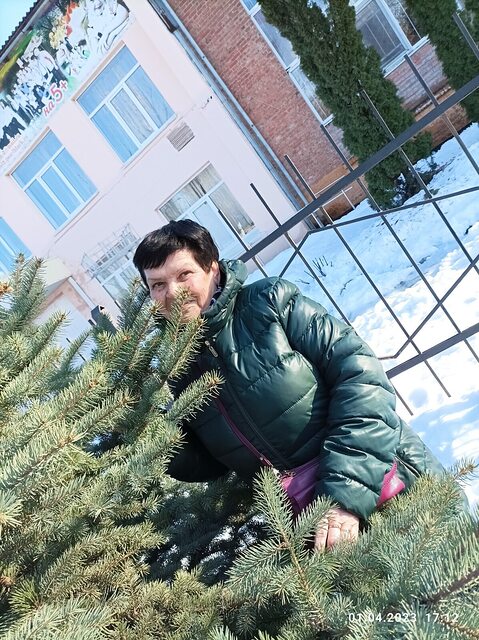 Фото - Tabor.ru