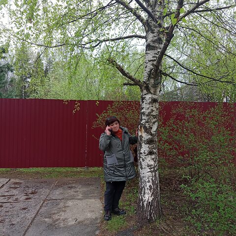 Фото - Tabor.ru