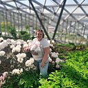 Знакомства: Лариса, 54 года, Иваново