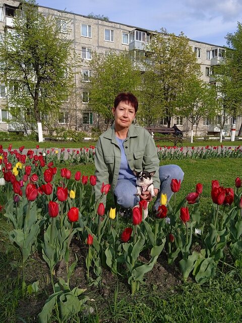 Фото - Tabor.ru