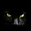 Знакомства: Елена, 47 лет, Тула