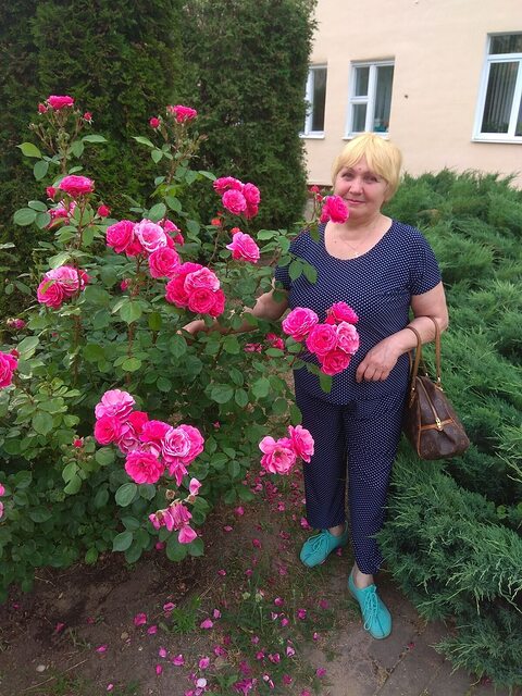 Фото - Tabor.ru