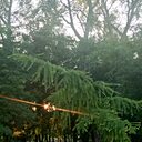 Знакомства: Петя, 41 год, Сыктывкар