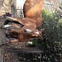 Знакомства: Виталий, 41 год, Обоянь