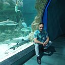 Знакомства: Bombordilo, 31 год, Дрезна