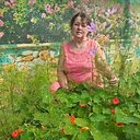 Знакомства: Татьяна, 68 лет, Кличев