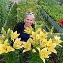 Знакомства: Елена, 58 лет, Великий Новгород