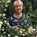 Знакомства: Людмила, 61 год, Сосновоборск (Красноярский Край)