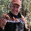 Знакомства: Василий, 68 лет, Сургут