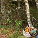 Знакомства: Марсель, 60 лет, Пинск