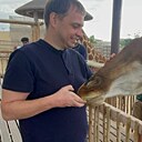 Знакомства: Денис, 36 лет, Санкт-Петербург