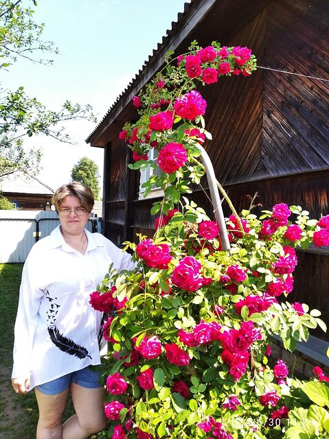 Фото - Tabor.ru