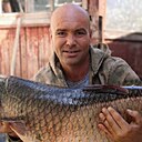 Знакомства: Александр, 47 лет, Новочеркасск