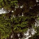 Знакомства: Katerina, 39 лет, Уральска