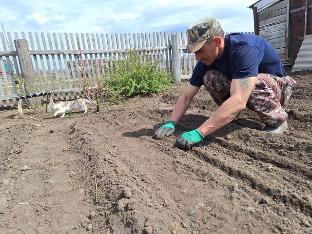 Фото - Tabor.ru