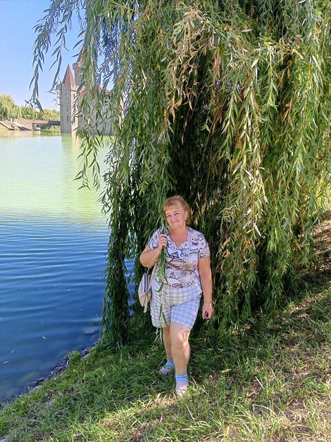 Фото - Tabor.ru