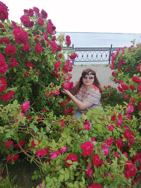 Фото - Tabor.ru
