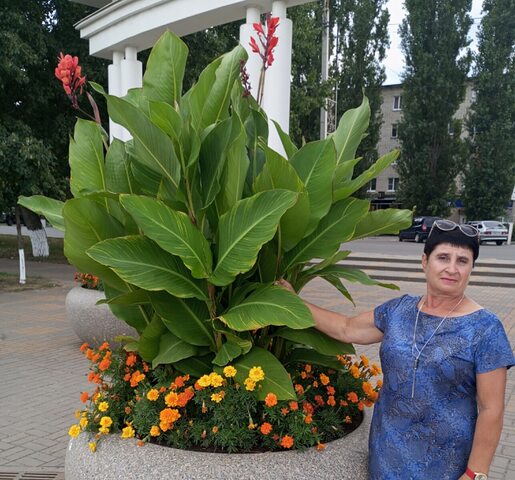 Фото - Tabor.ru
