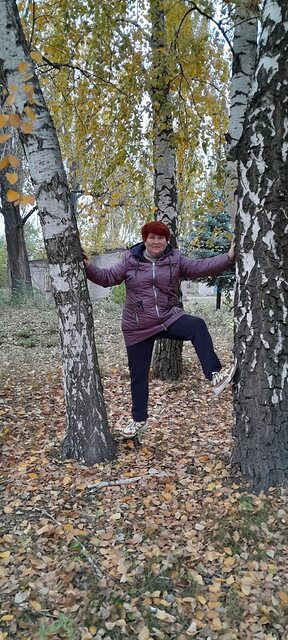 Фото - Tabor.ru