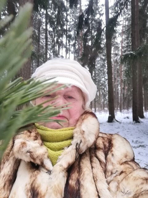 Фото - Tabor.ru
