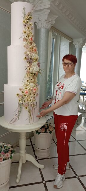 Фото - Tabor.ru