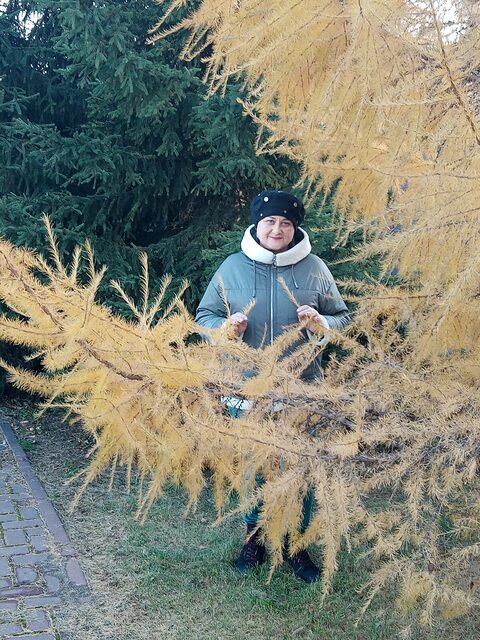 Фото - Tabor.ru