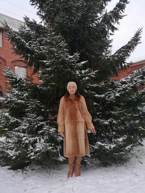 Фото - Tabor.ru