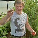 Знакомства: Сергей, 69 лет, Приютово