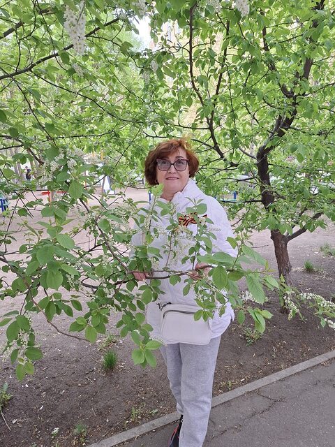 Фото - Tabor.ru